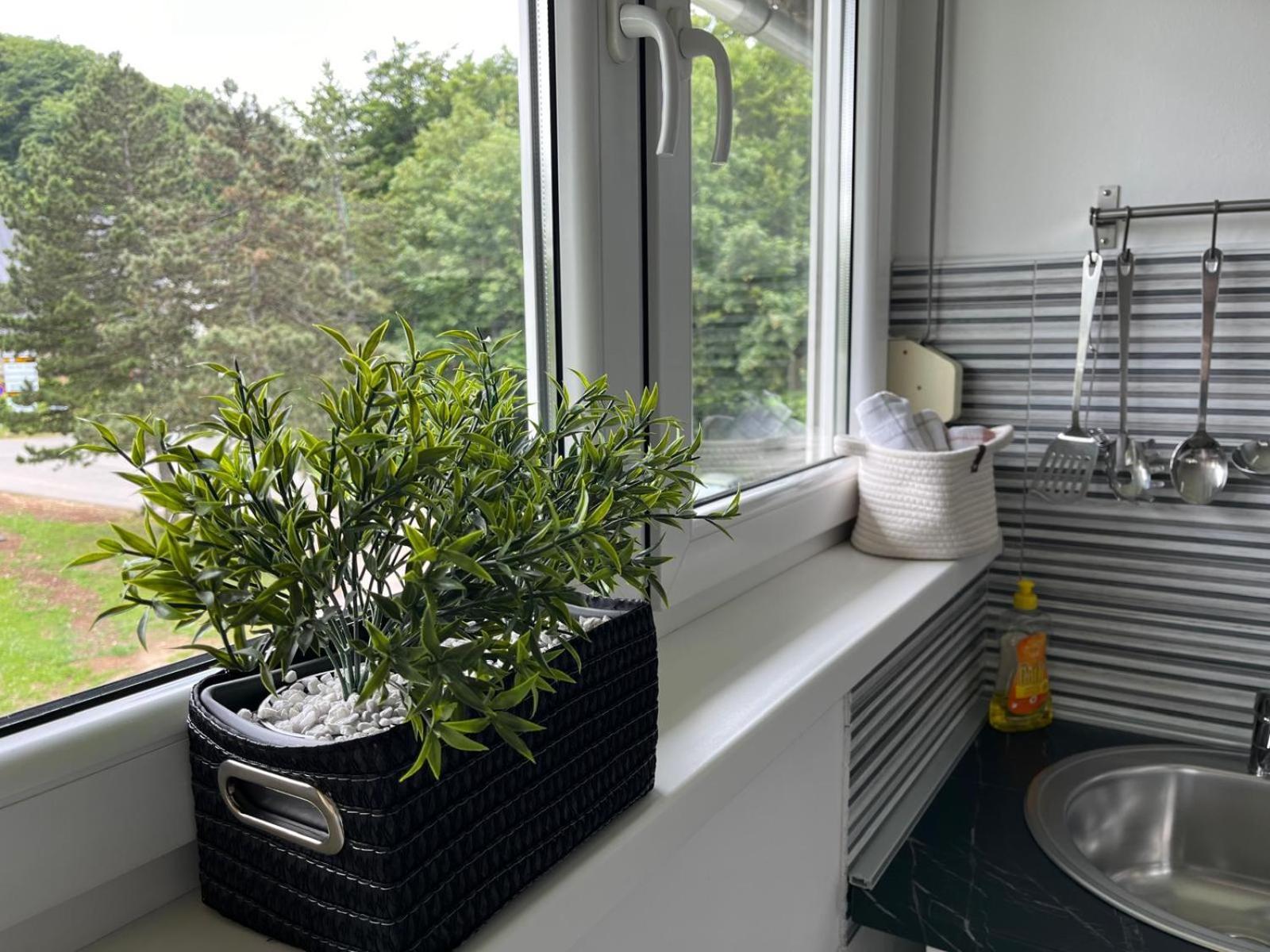 Eva Luxury Rooms & Apartments Плитвицкие озёра Экстерьер фото